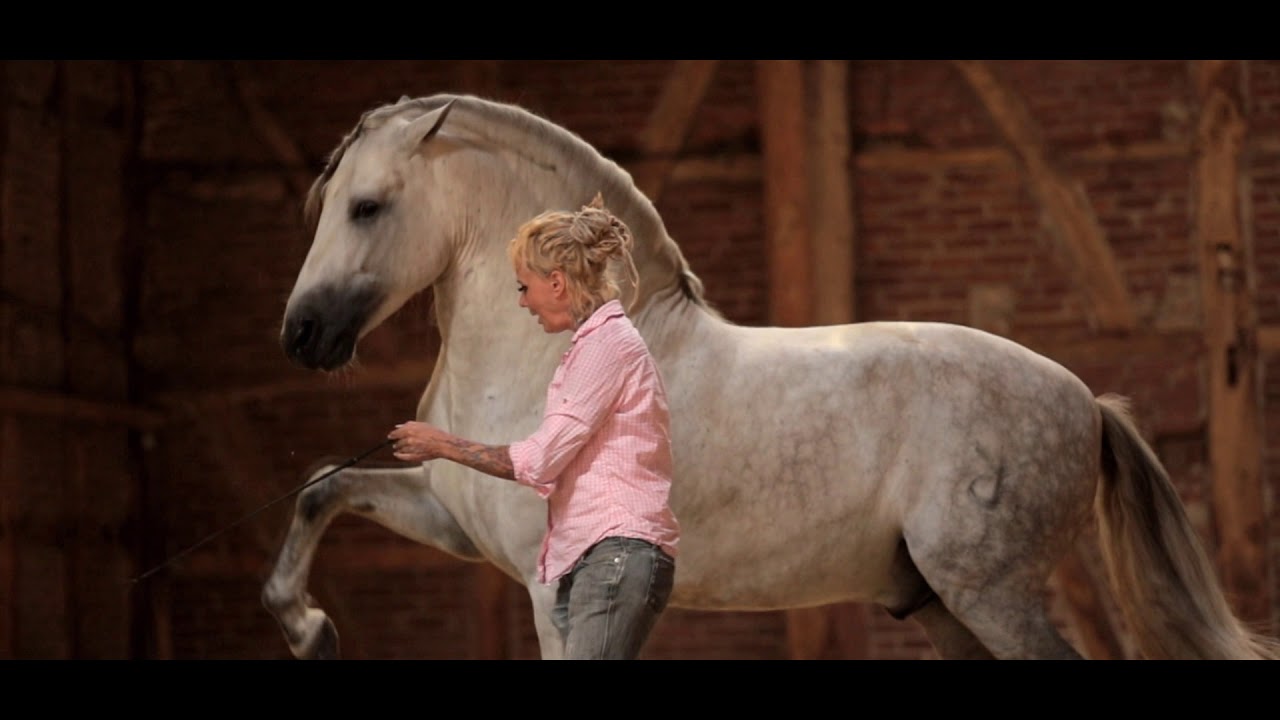 Brambilla Bachmann - Dancing With Spanish Stallions