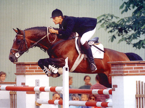 Caretino - Showjumping Stallion