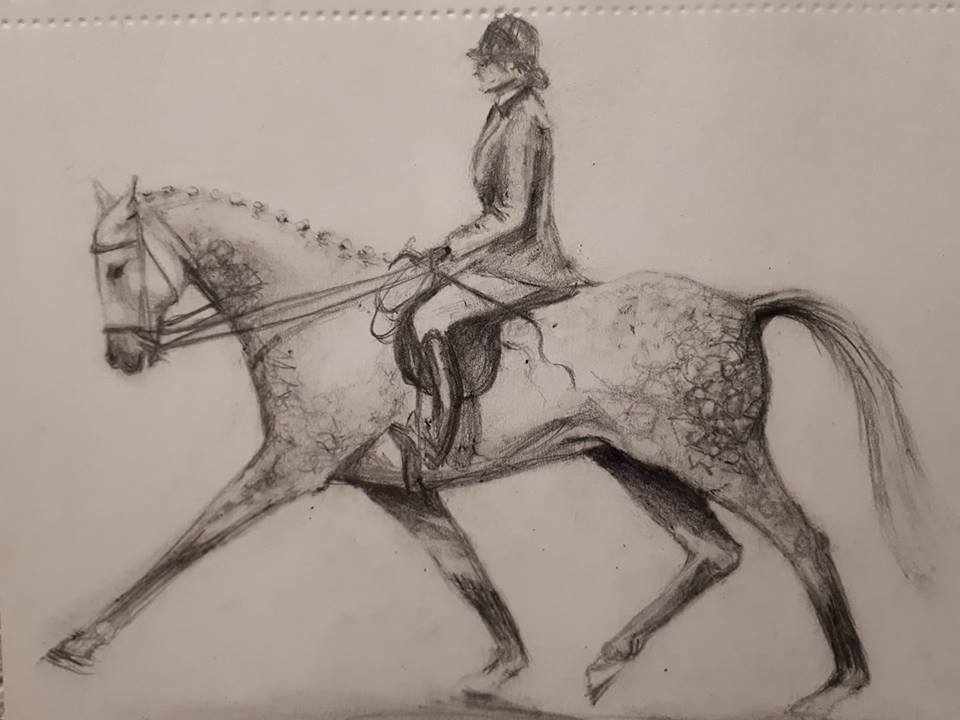 Clancy Fine Art - Equine Artist