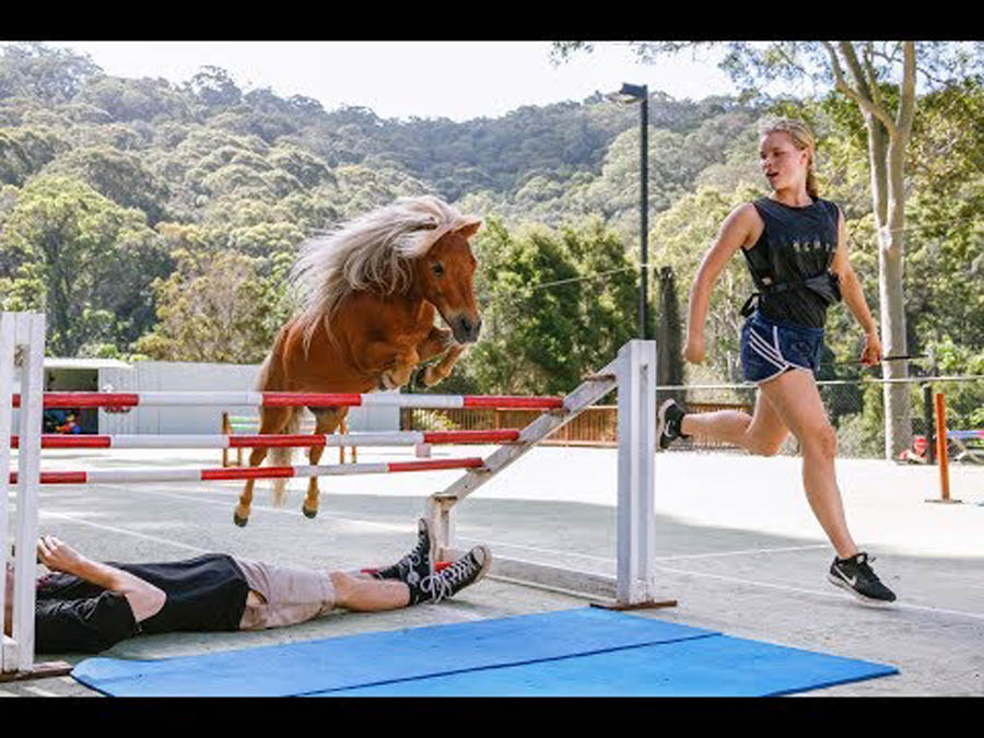 Crunch - The Miniature Horse With A Big Jump