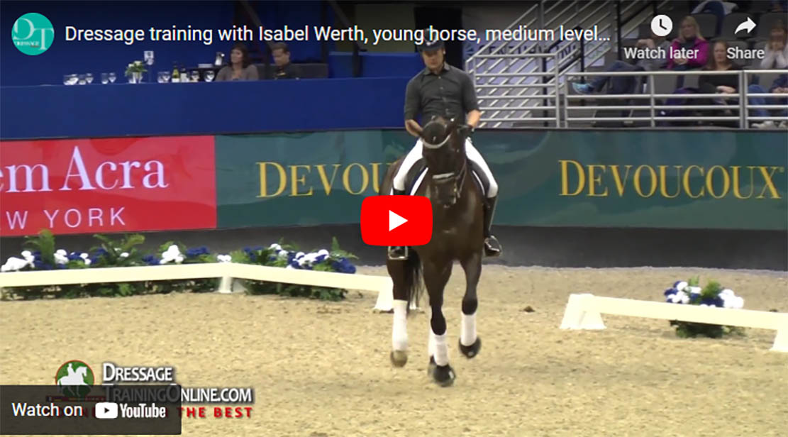Dressage Exercises For Young Horses