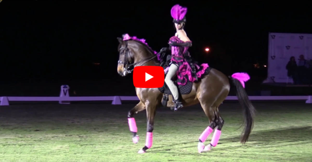 Dressage Heats Up with Fishnets in a Freestyle
