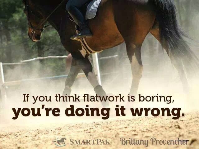 Flatwork Exercises For Horses