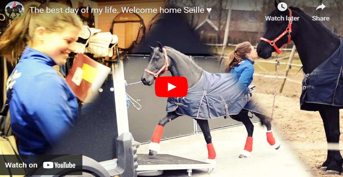 Emotional Reunion Between A Young Girl And Her Friesian Dream Horse