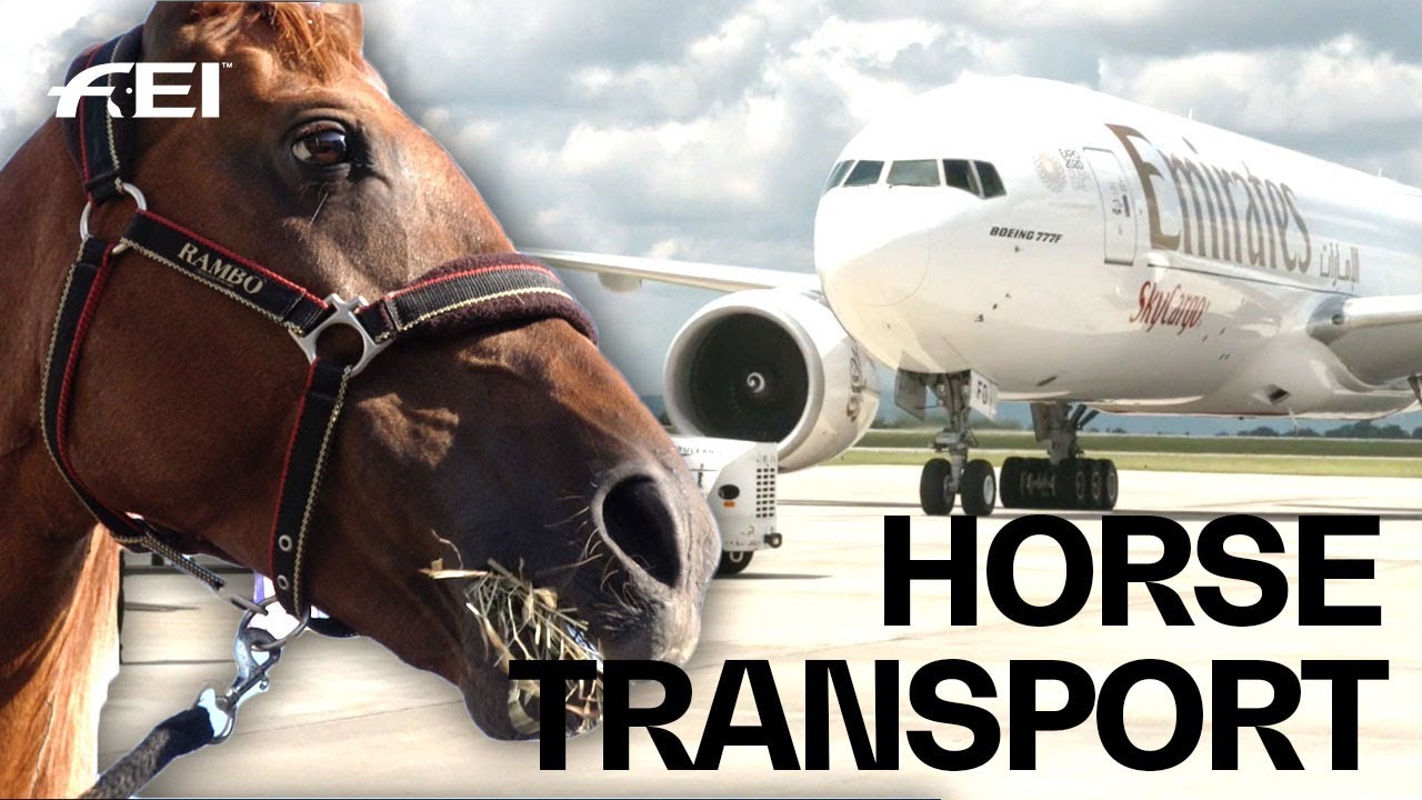 Horse-Airplanes