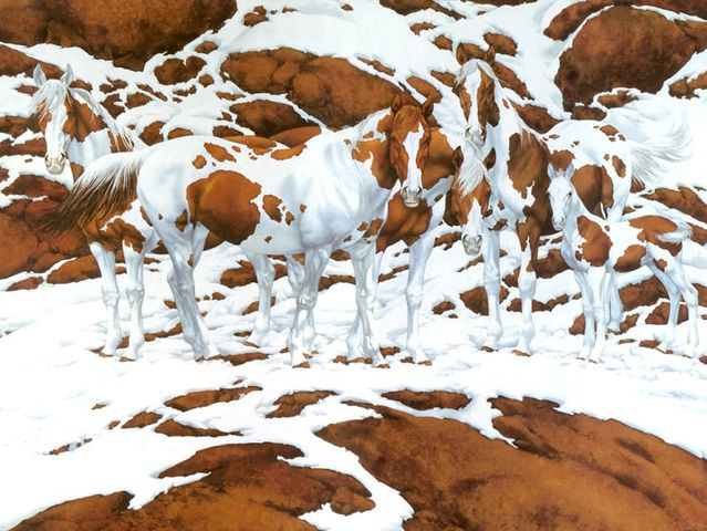 How many horses can you find in this tricky optical illusion