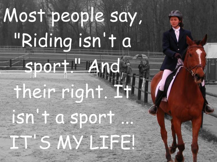Horse Riding - A Sport Or A Hobby?
