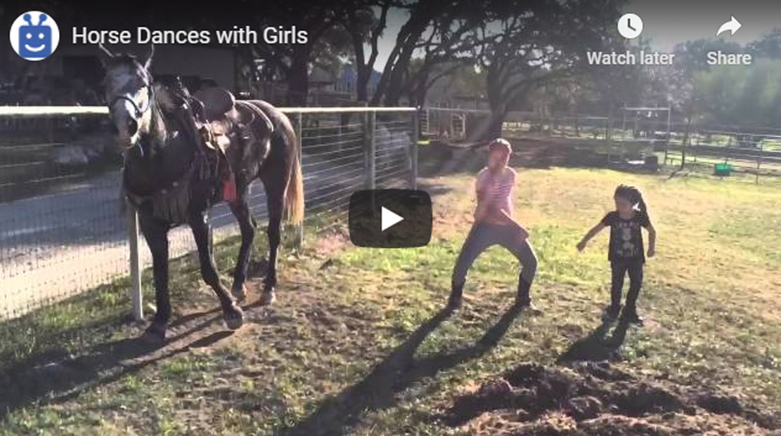 Little Girls Dancing, But The Horse Steals The Show
