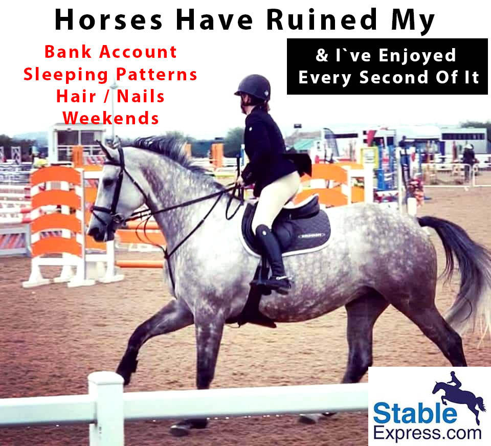 Horses Have Ruined My...