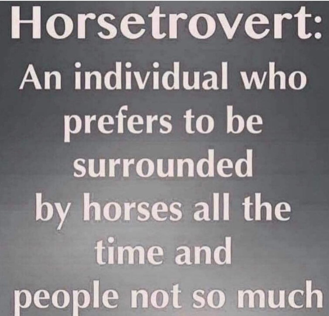 Equine Life - Horsetrovert