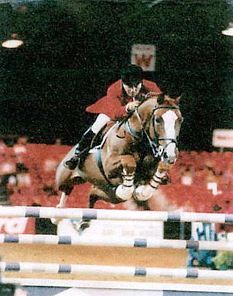 Its The Business- Showjumping Stallion
