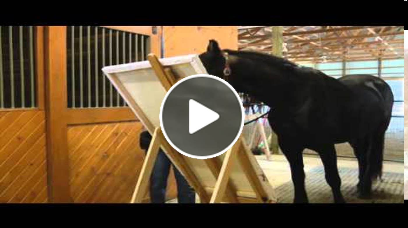 Justin The Friesian Horse Who Paints