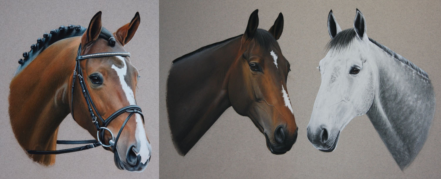 Lindsey Hill - Horse Artist, Cheshire