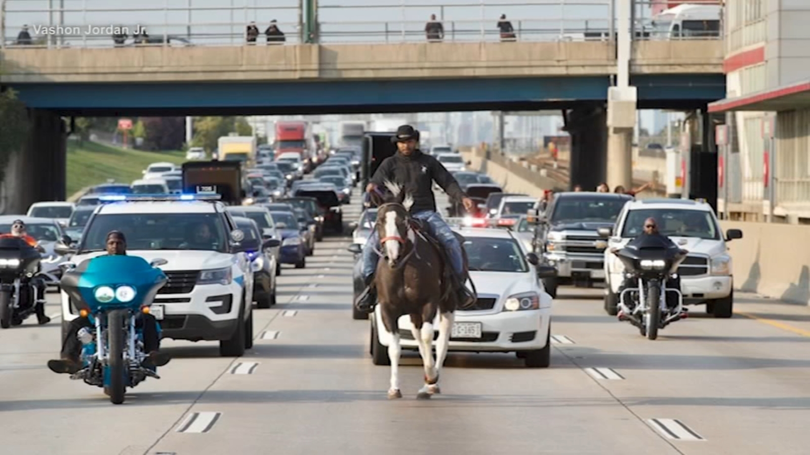 Man On Horse Stops Traffic On Dan Ryan Expressway