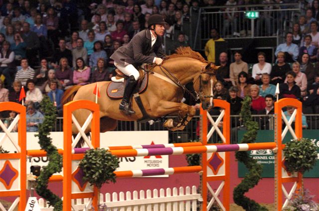 Michael Whitaker & Showjumper Up to date