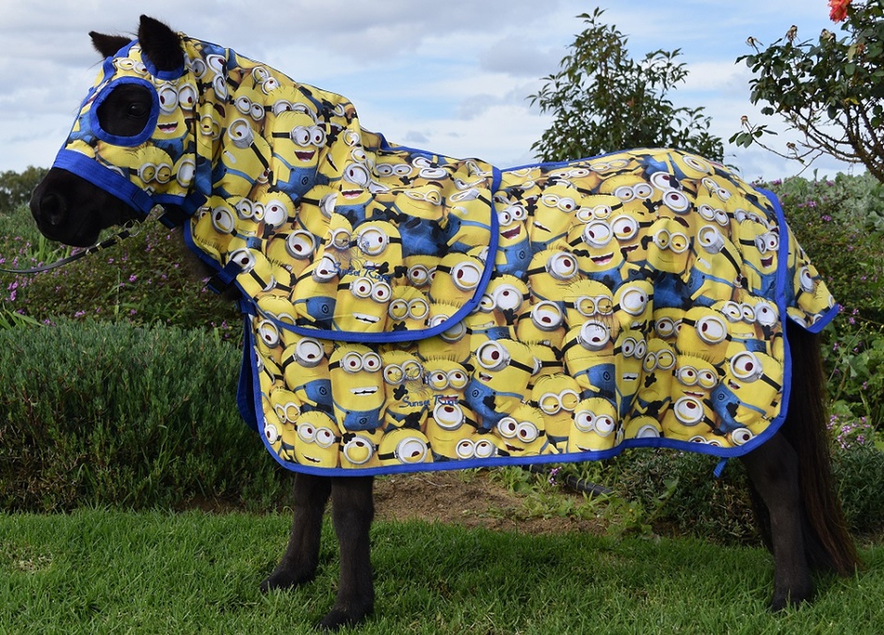 Minions Horse Rugs