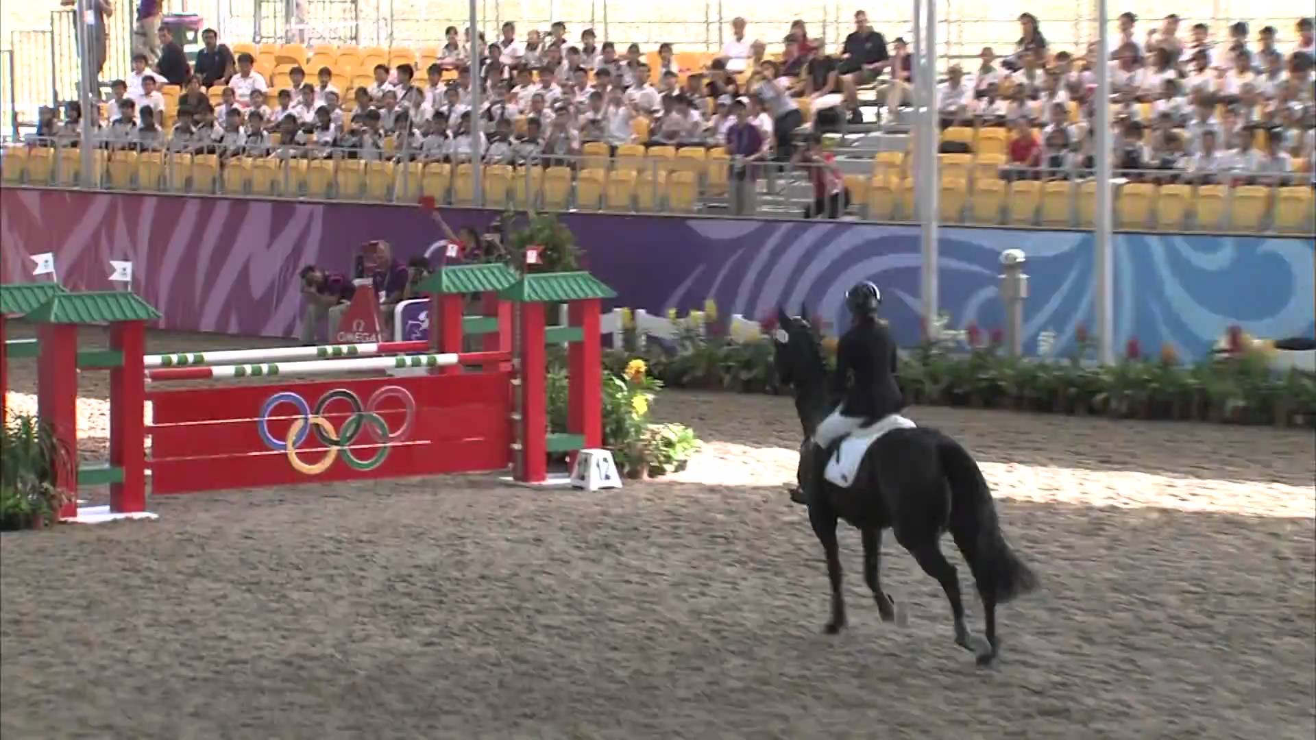 Olympic Horses