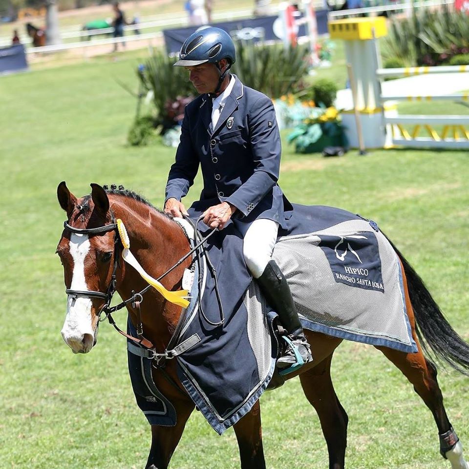 Peter Eriksson - Showjumping Rider