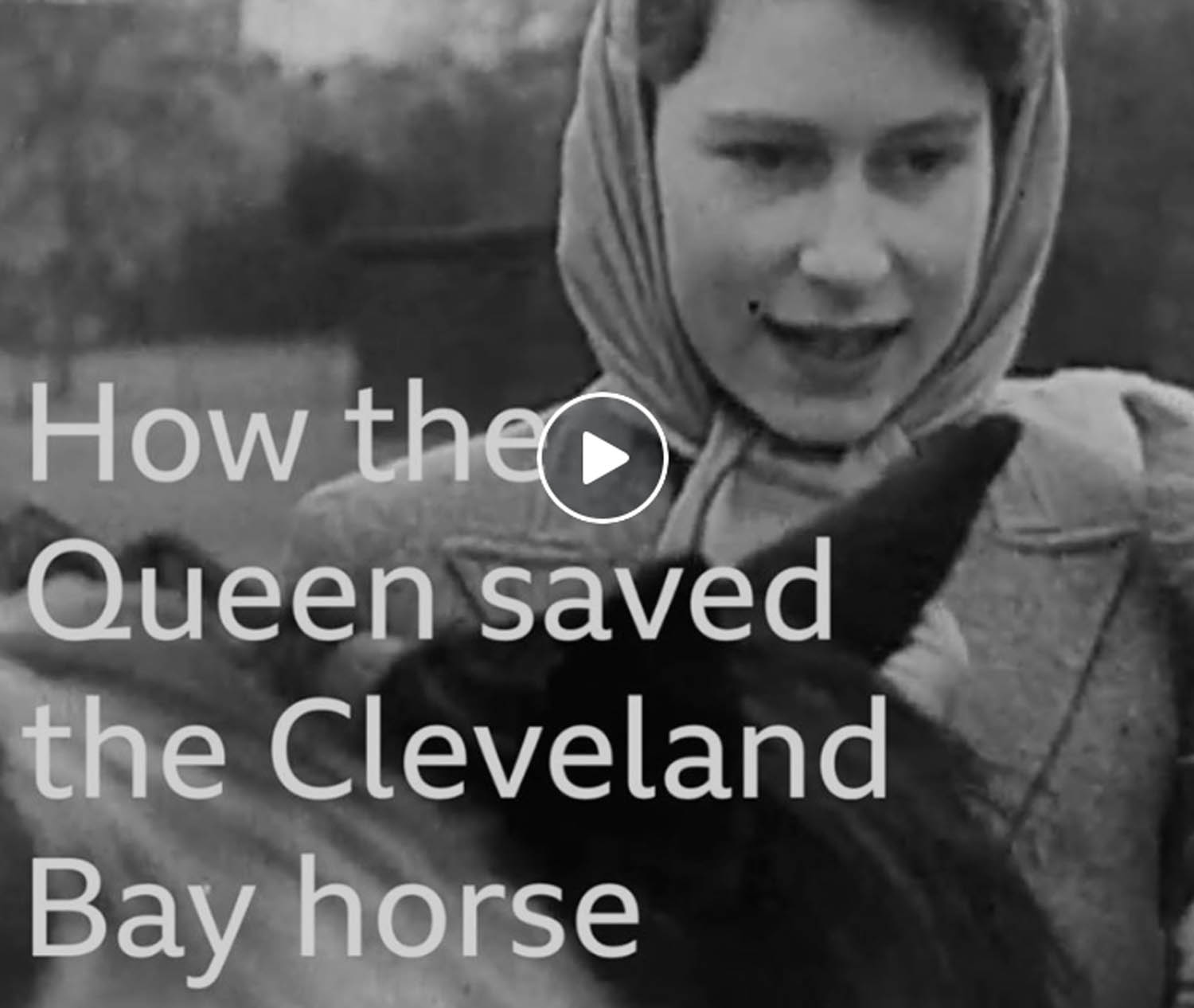 How the Queen saved the Cleveland Bay horse