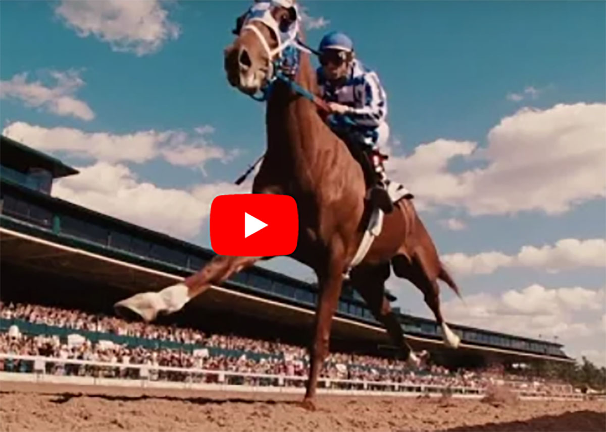 Secretariat - The Impossible Story