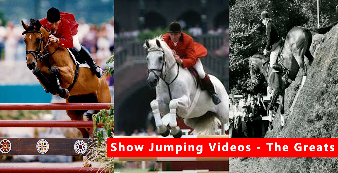 Horse Jumping Videos