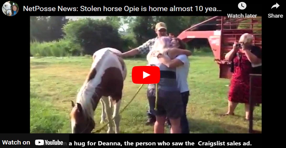 Stolen Horse Reunited With His Owner After 10 Years Apart