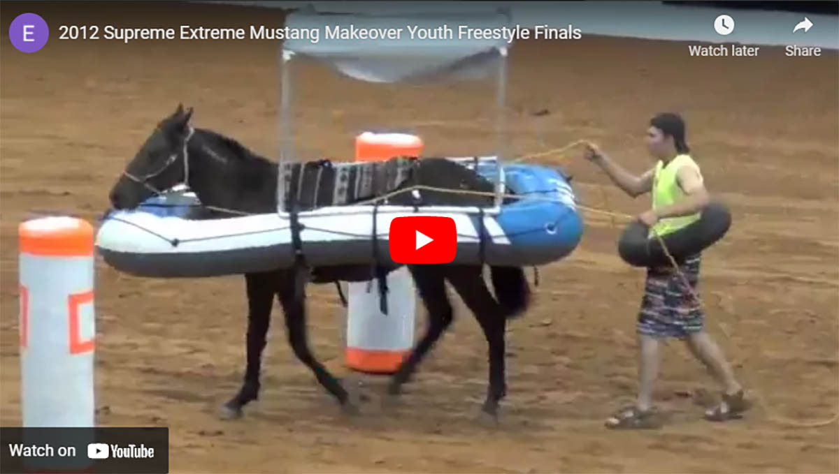 Supreme Extreme Mustang Makeover Youth Freestyle Finals