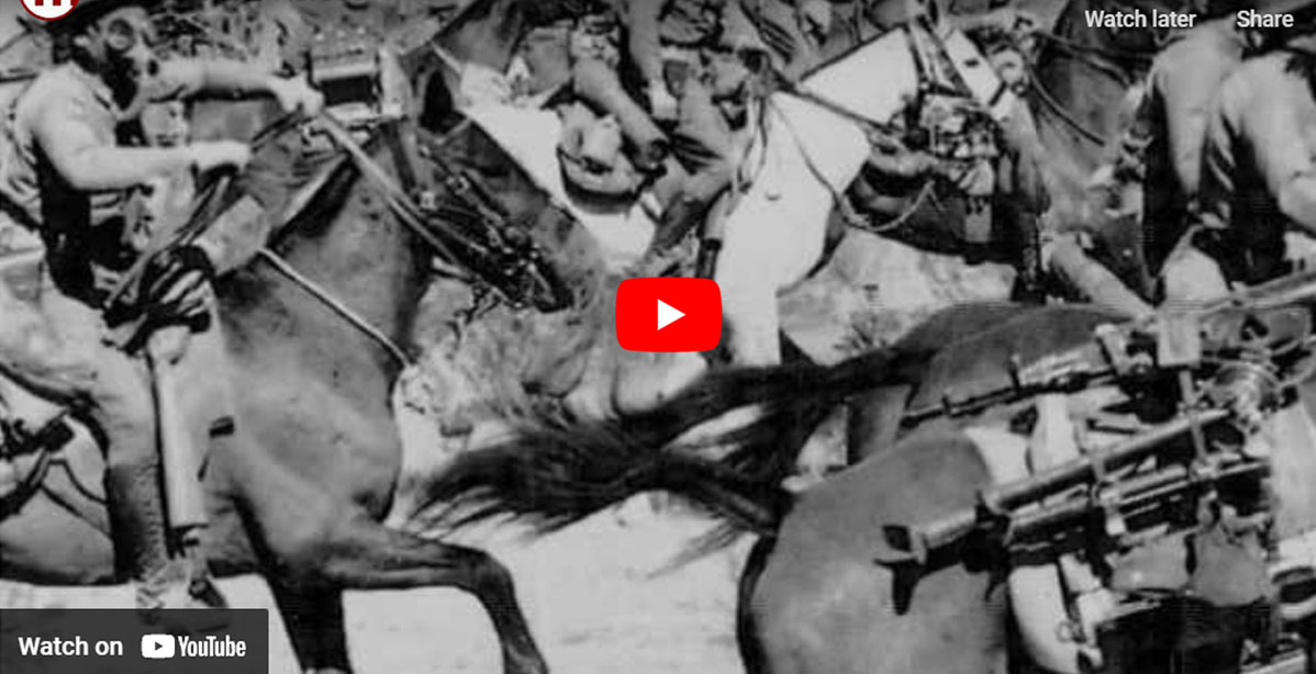 The incredible true story behind War Horse - the horses who fought and died in World War One