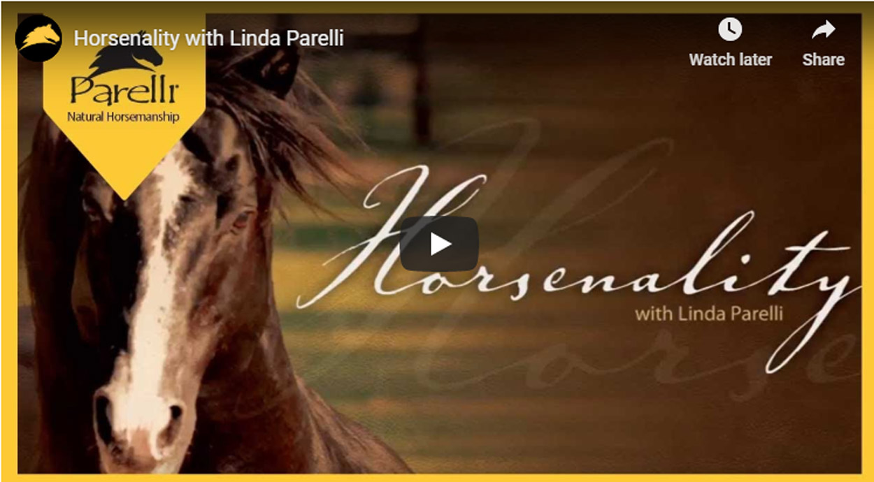 Understanding Your Horses Horsenality