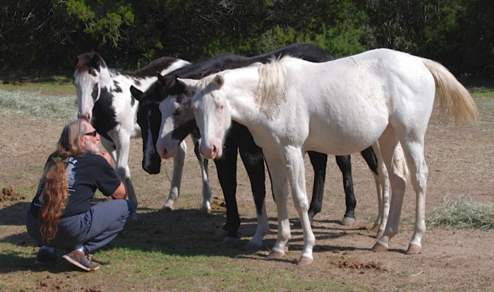 Willie Nelson Rescued 70 Horses From The Slaughterhouse