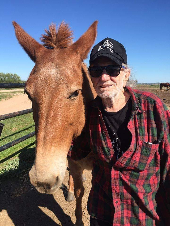 Willie Nelson Horse Ranch