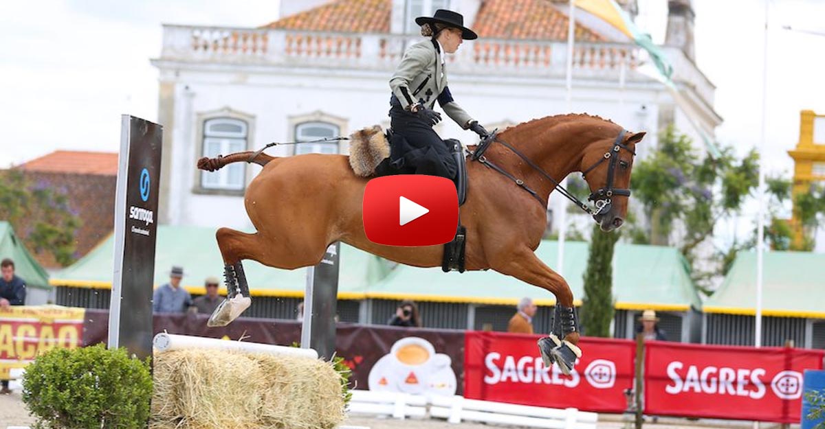 Now That Is An Exhibition, What A Great Performance - Working Equitation