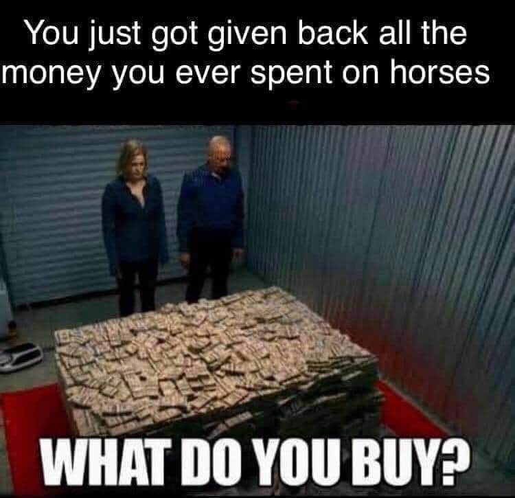 You Just Got Given Back All The Money You Ever Spend On Horses - What Do You Buy?