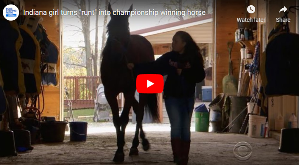 Amazing story of a little horse with no pedigree and the faith of a little girl!