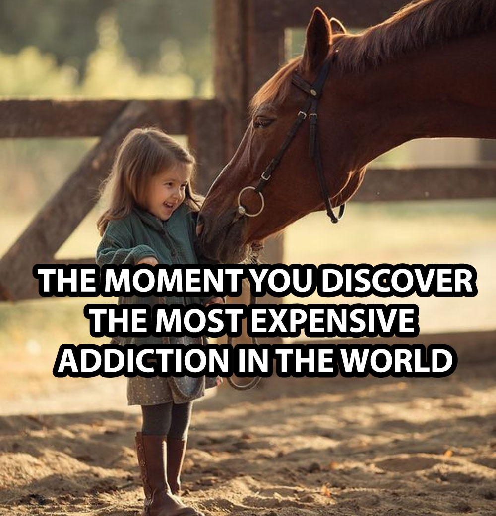 Signs You Are A Horse Addict