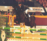Horse Of The Year Show - Niagra B