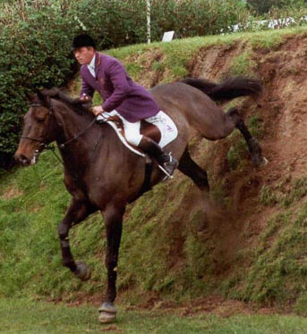 Welham Show Jumping Horse - John Whitaker