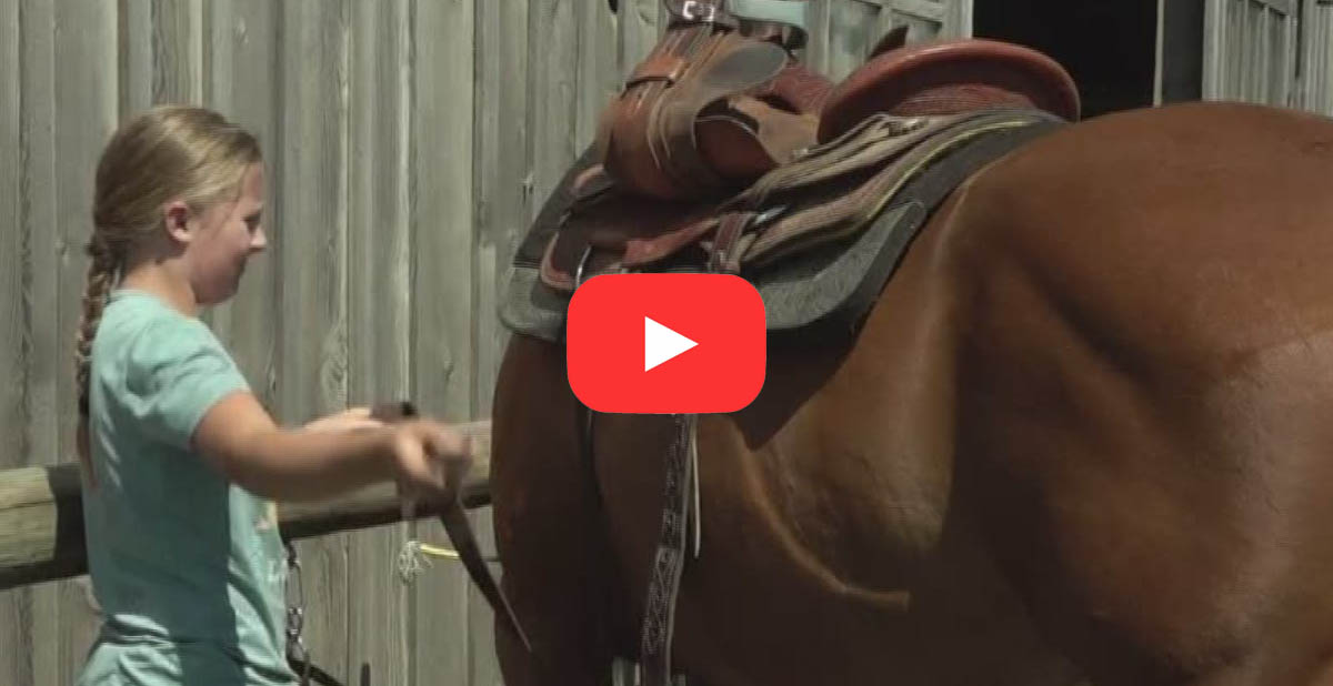 10 Year Old Horse Trainer Works With Abused Horse To Give Her A New Life