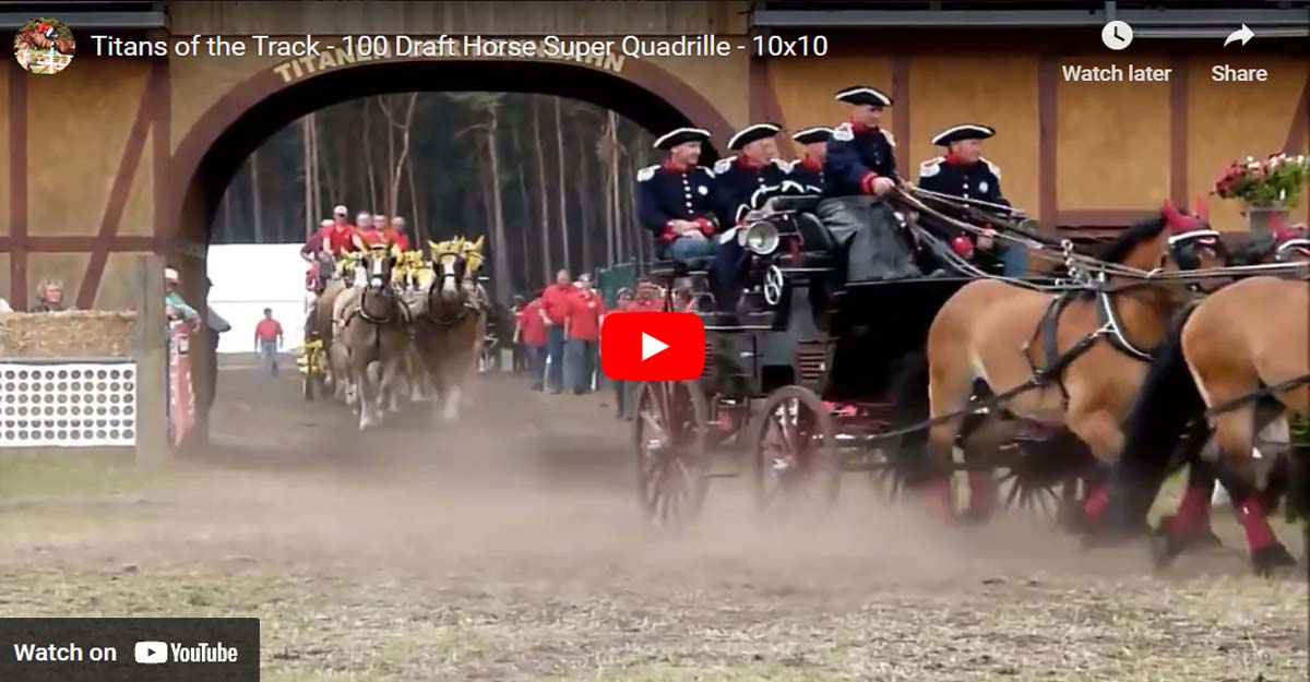 Titans of the Track - 100 Draft Horse Super Quadrille - 10x10