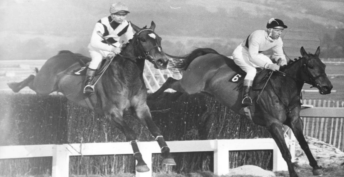 1964 Cheltenham Gold Cup Arkle takes revenge on Mill House