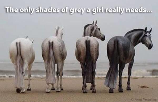 50 Shades Of Grey - Grey Horses
