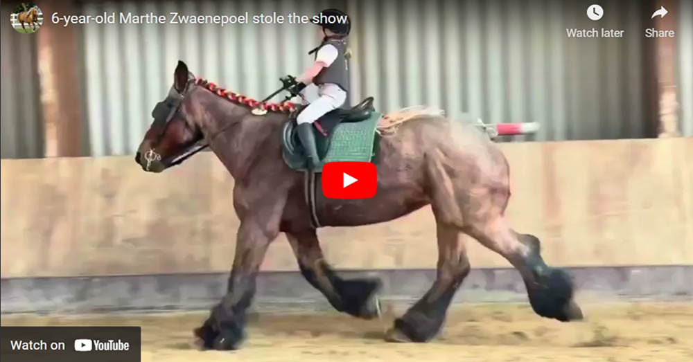 6-year-old Marthe Zwaenepoel steals the show