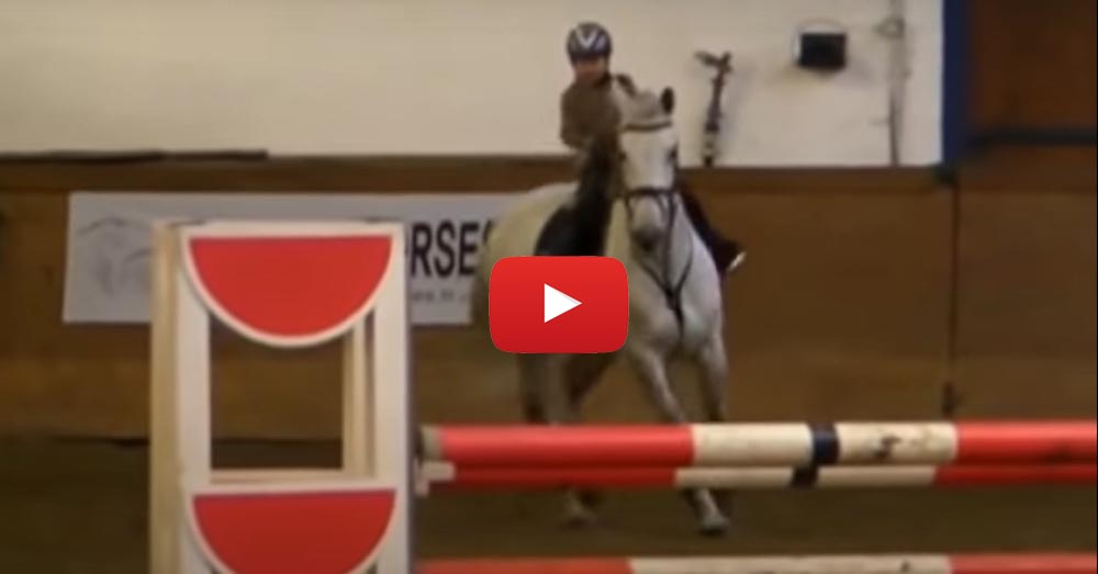 7-Year-Old Kid Rides Horseback As An Experienced Professional