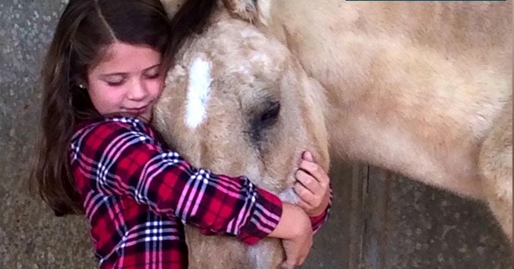 8-year-old gives up birthday gifts to help abused horses