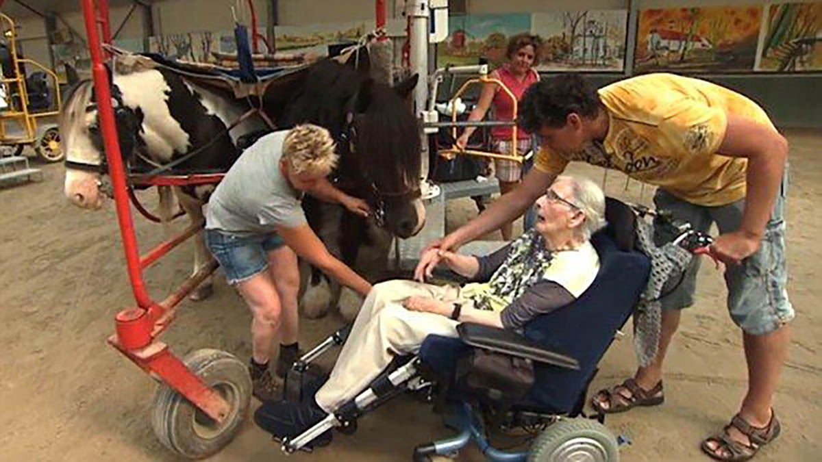 87-Year-Old Woman With Parkinson`s Gets To Ride Horse For The Last Time