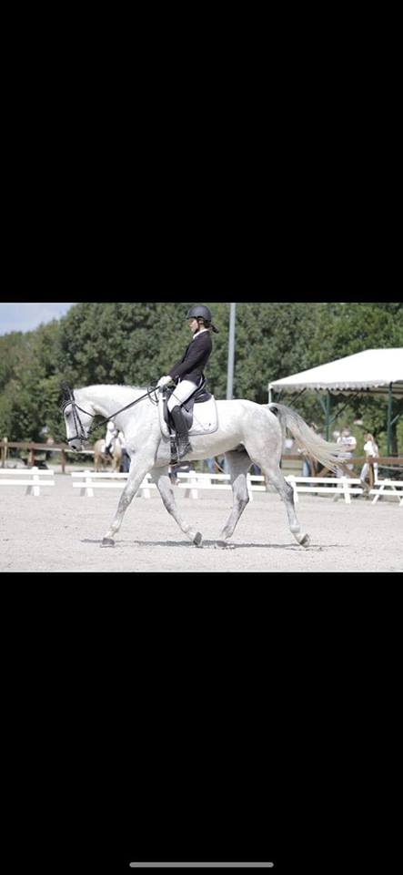 9 Years Gelding.jpg