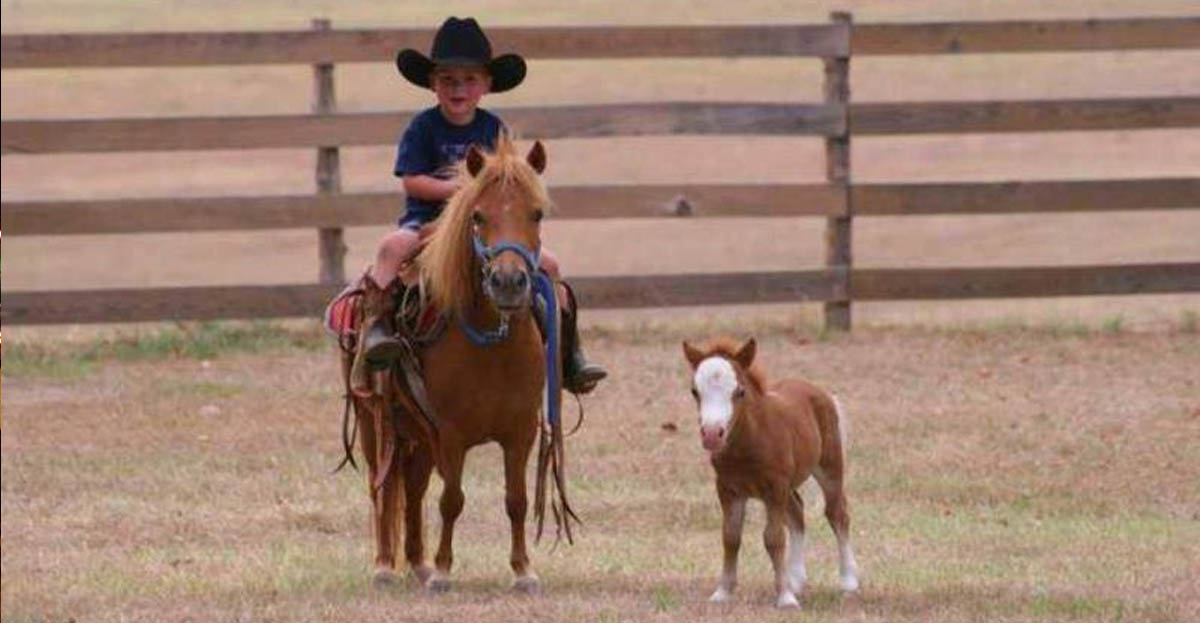A Cowboy In The Making
