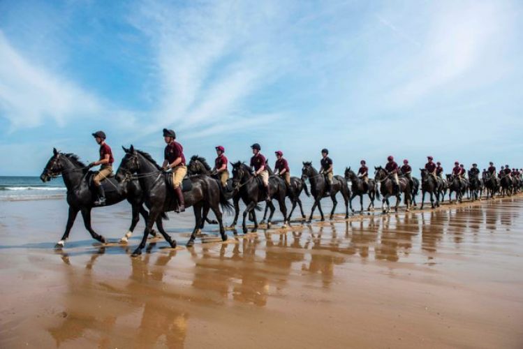 A Day At The Beach With The Household Cavalry