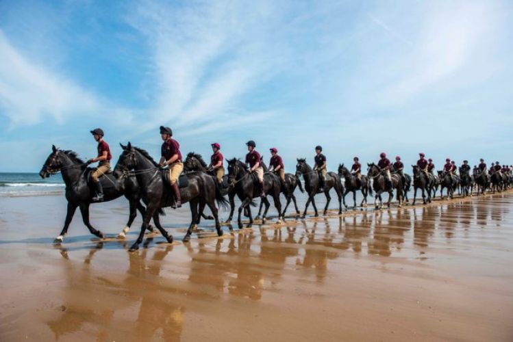 The Household Summer Rider At Holkham Beach, Norfolk