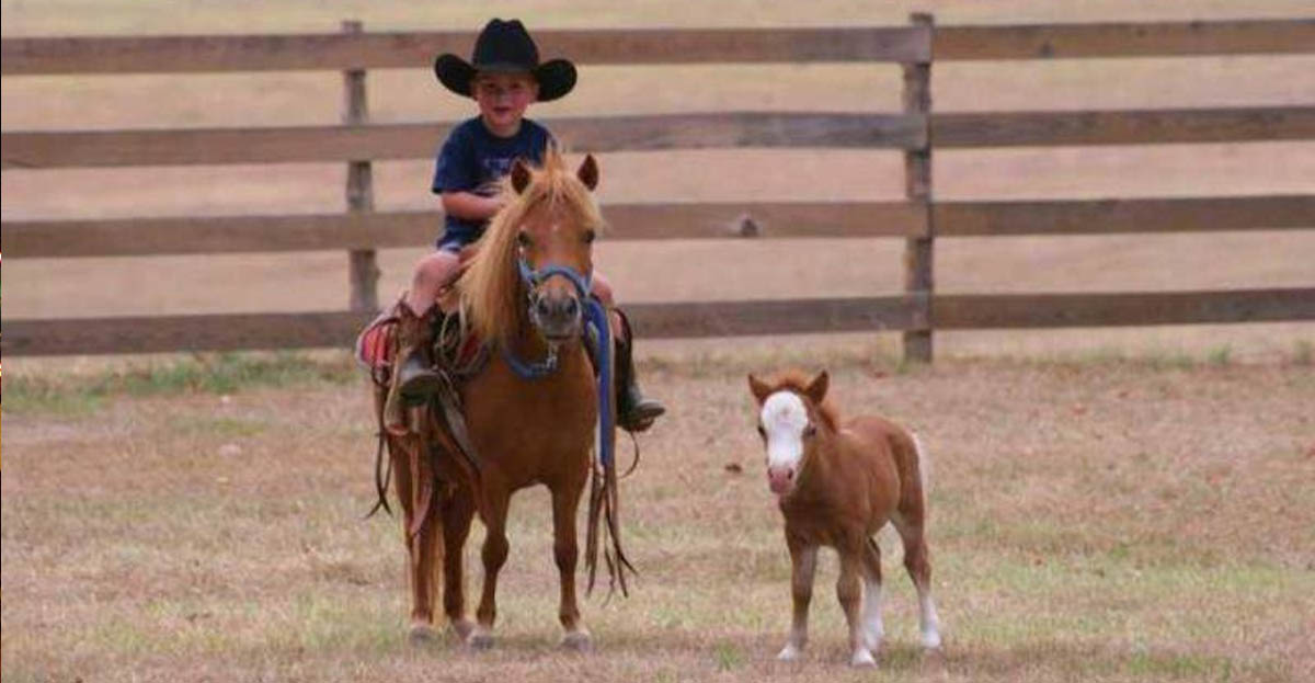 A cowboy in the making